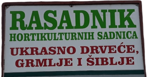 Rasadnik